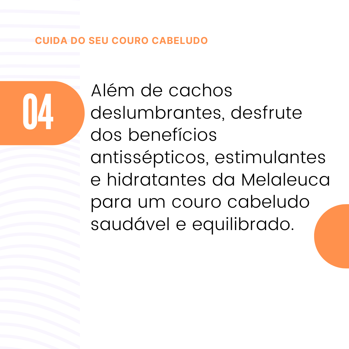 CARROSEL-CACHO-SUBLIME-6